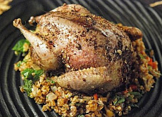 Капалуха  в пере (Глухарь)