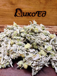 Превью Лимонник крымский сушеный