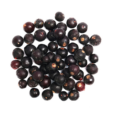 Фото Черная смородина быстрозамороженная 500 г УЦЕНКА 