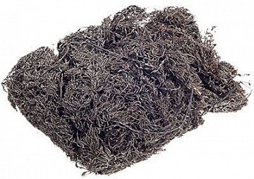 Фото Морской виноград сушеный