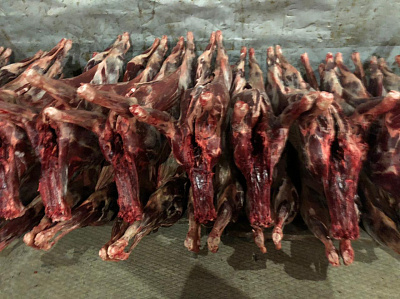 Превью Северный олень (туша) - самовывоз только