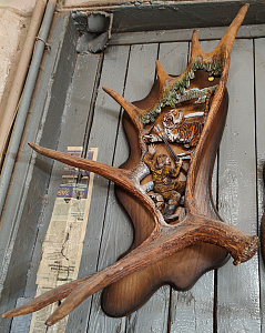 Превью Рог лося с охотником и тигром