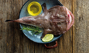 Фото Морской черт с головой