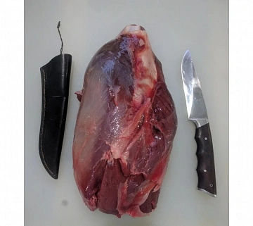 Фото Голяшка марала (для запекания)