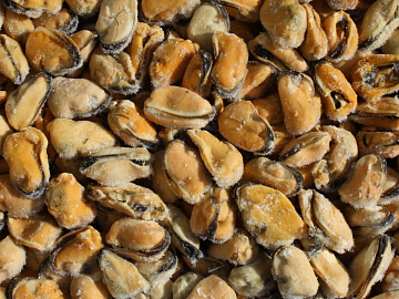 Фото Мидии очищенные варено-мороженые 0,5кг (100/200)