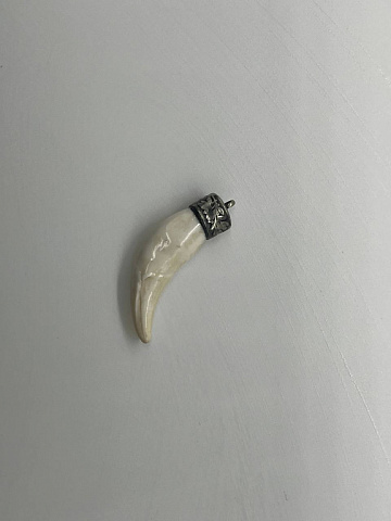 Фото Клык волка (мельхиор)