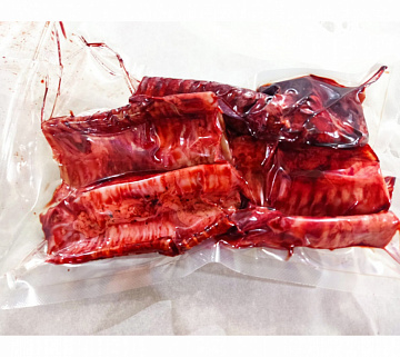 Фото Трахея северного оленя