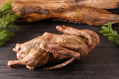 Превью Гусь (дикий) весенний