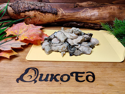 Превью Устрицы варено-мороженые