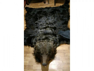Фото Ковер из шкуры бурого медведя с открытой пастью
