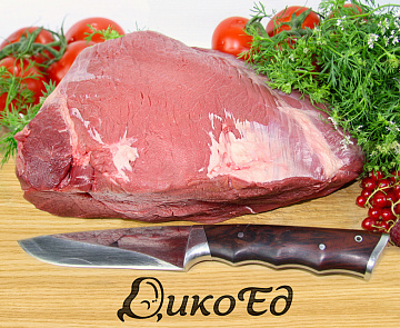 Фото Лопатка тура кавказского