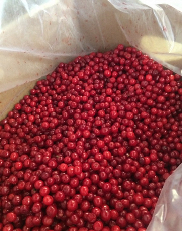 Фото Красника замороженная 500 г