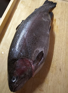 Превью Форель Мурманская свежемороженая непотрошеная