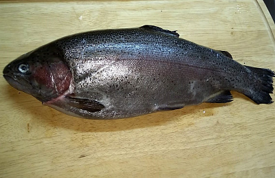 Превью Форель Мурманская свежемороженая непотрошеная