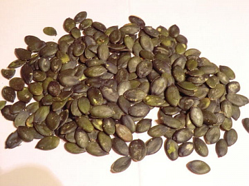 Фото Семена штирийской тыквы