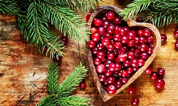 Фото Клюква дикая (в мешках по 30кг)