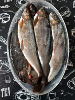 Хариус солёномороженный