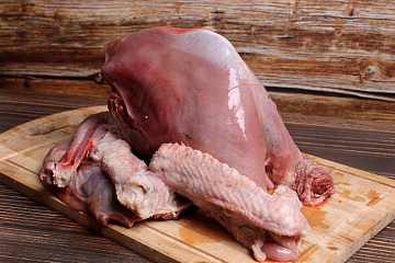 Фото Молодой глухарь (без пера)