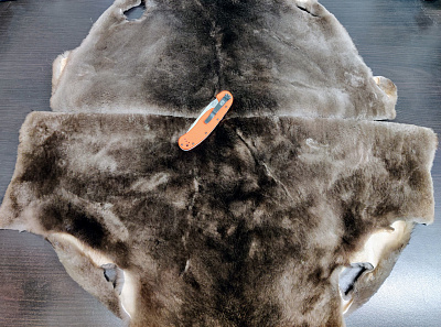 Превью Шкурка бобра выделанная