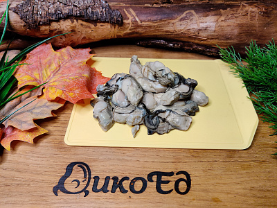 Превью Устрицы варено-мороженые